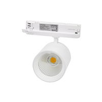LED-Tracklight 12-42W fr 3-fasskena